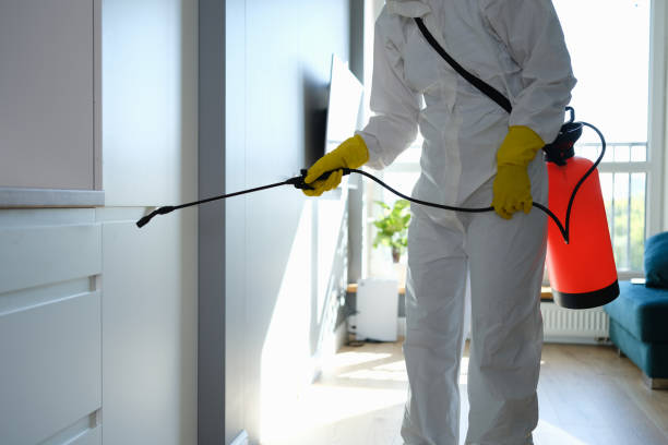 Best Mold Testing  in Fowlerville, MI