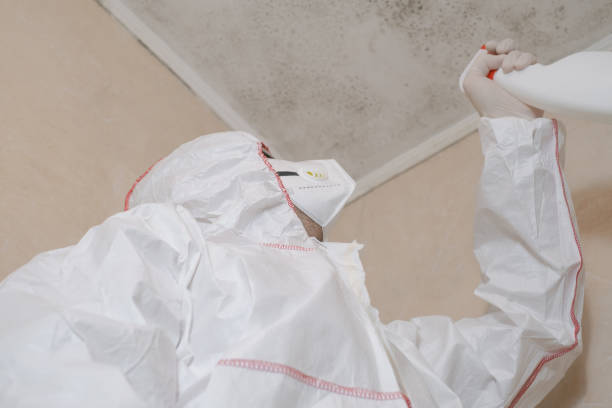 Best Local Mold Removal Service  in Fowlerville, MI
