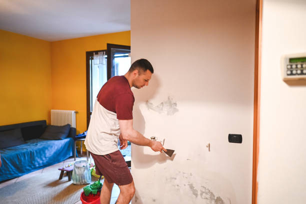 Best Mold Testing and Removal  in Fowlerville, MI